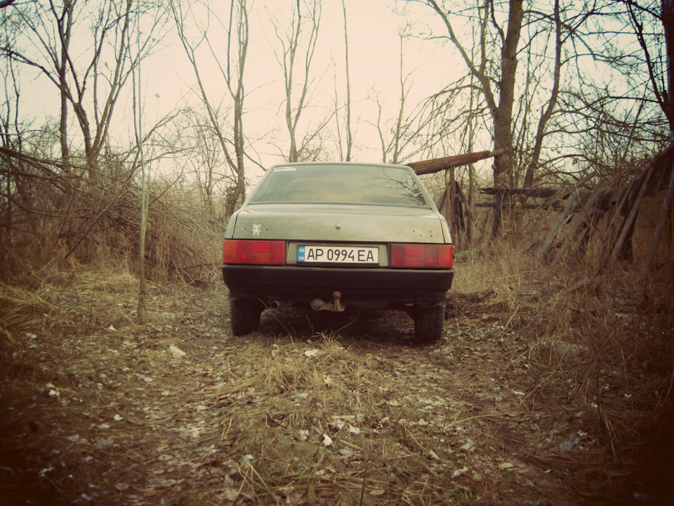 Фото в бж 3