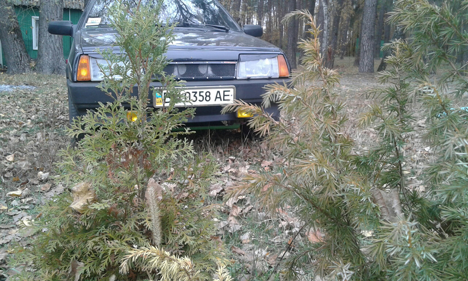 Осінній день 3