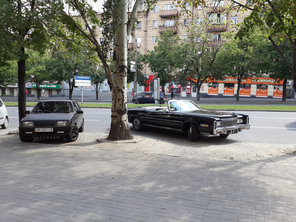 красота 1