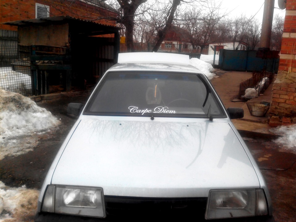 +5 кобил) наклейка. 2