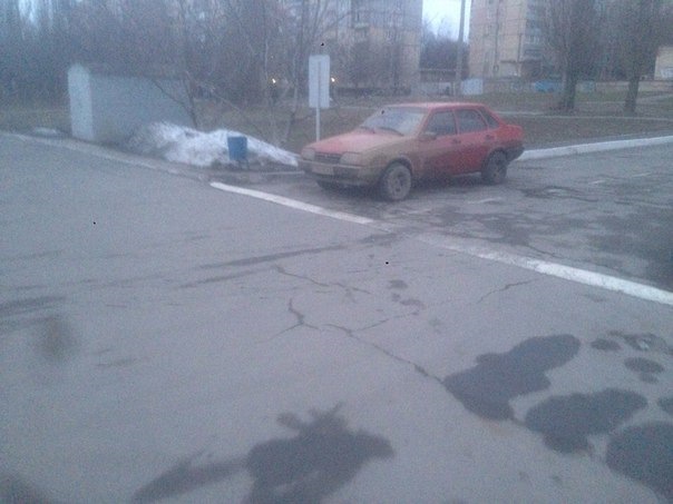 Як пройшли перші півроку володіння звіром 4