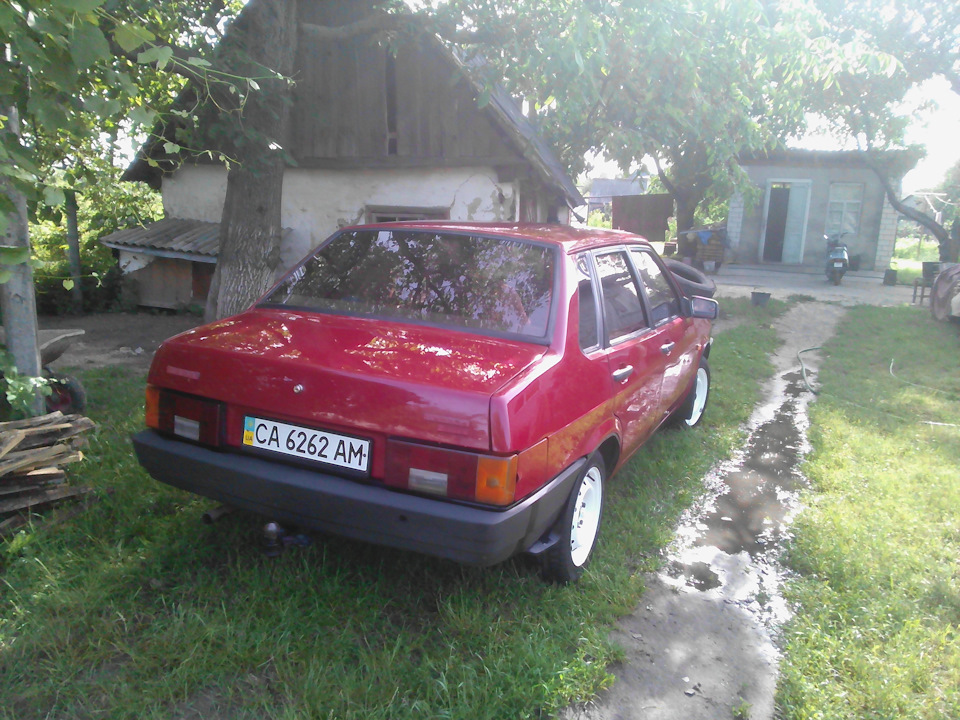 Зробив калюжу))) 4