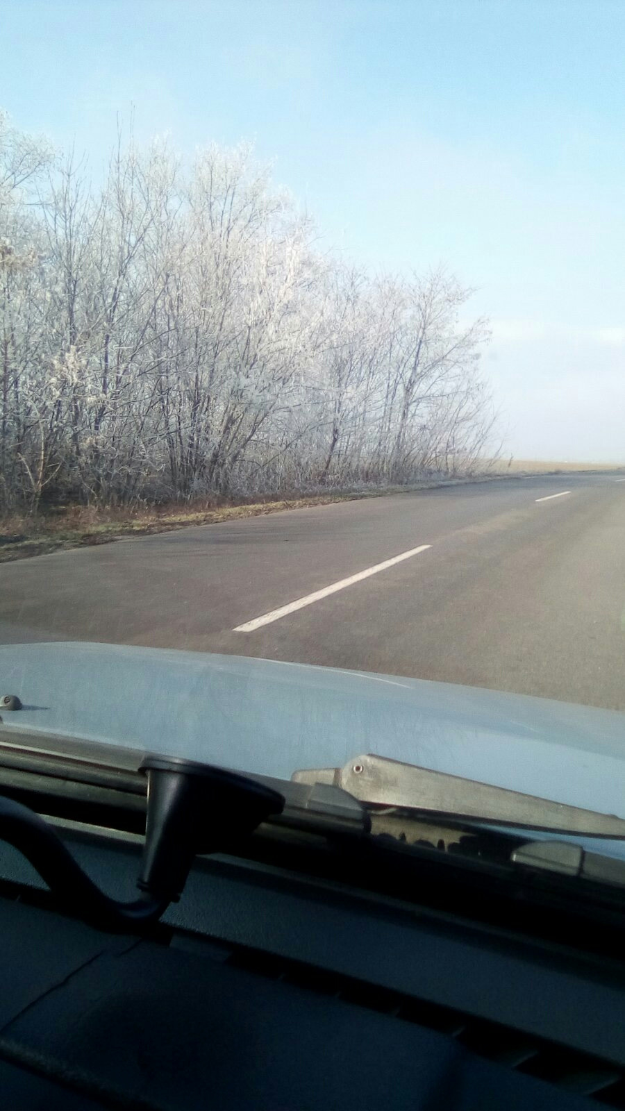 Покотушки 2