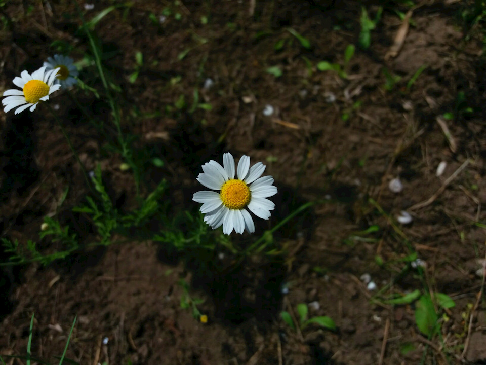 Фотосет 5