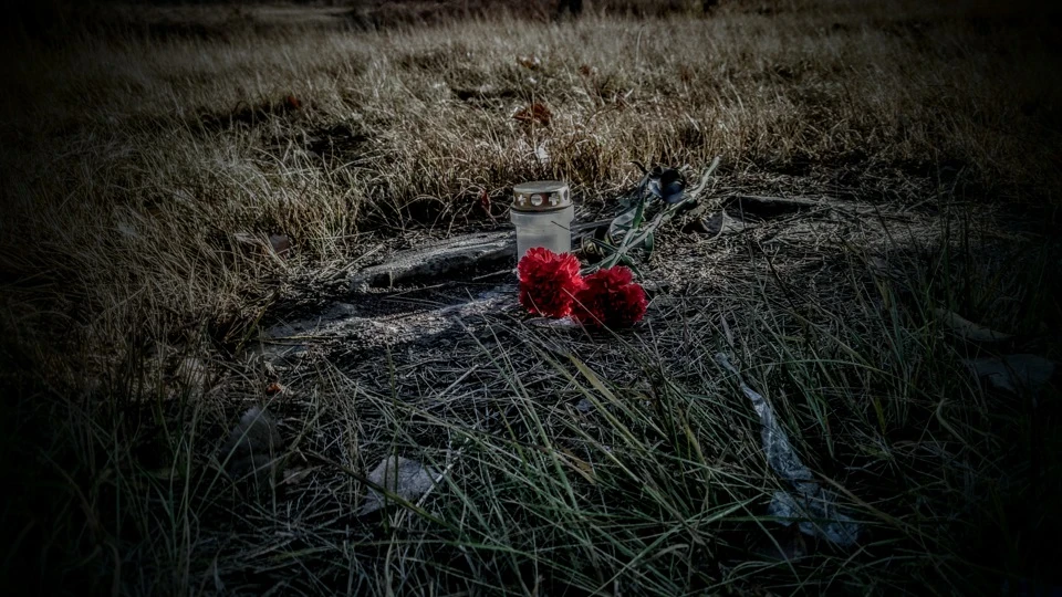 Автопробіг 15.11.15 День пам'яті жертв ДТП