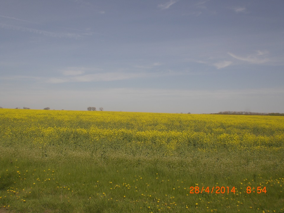 пару фоток машини та мого краю. 5