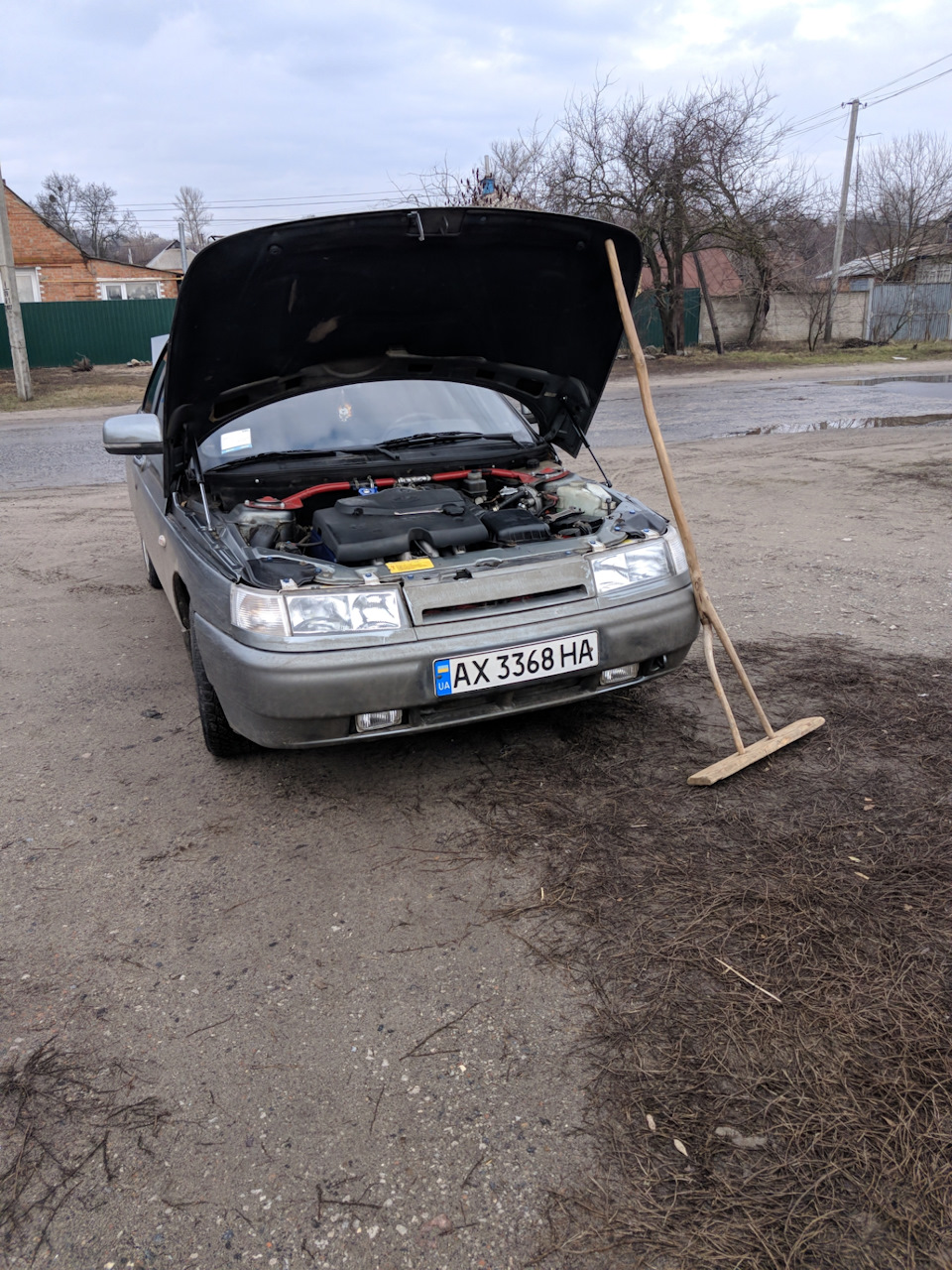 Заміна газових упор капота 1