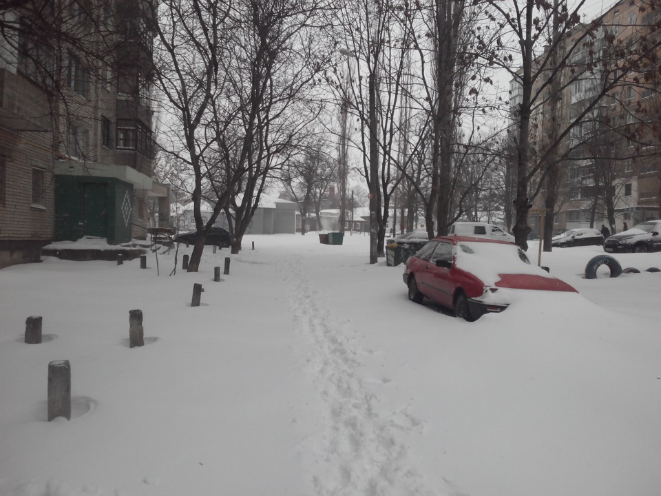 зима 2016. січень 18 3
