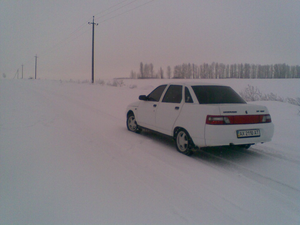 Фотографії з телефону 5