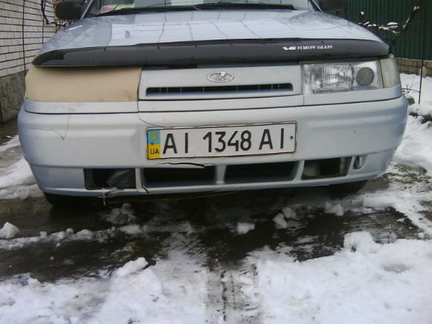 Дерево перешло нам дорогу((( 4