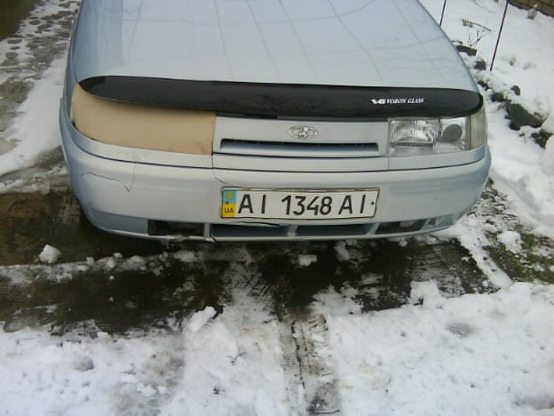 Дерево перешло нам дорогу((( 3