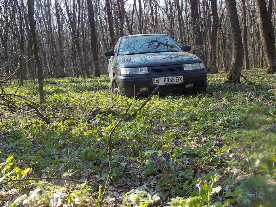 по лісу ... 2