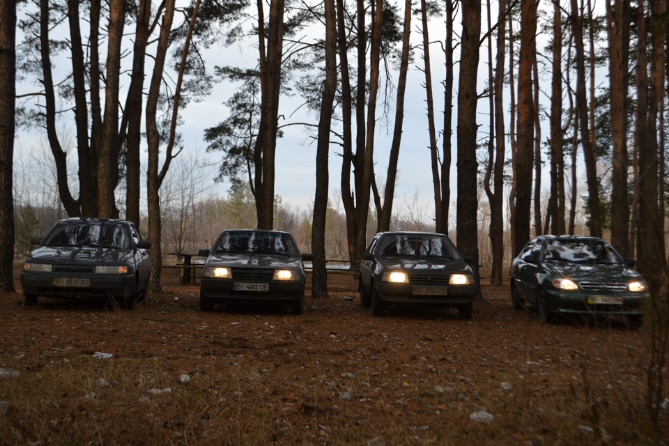 Зібралися з друзями 5