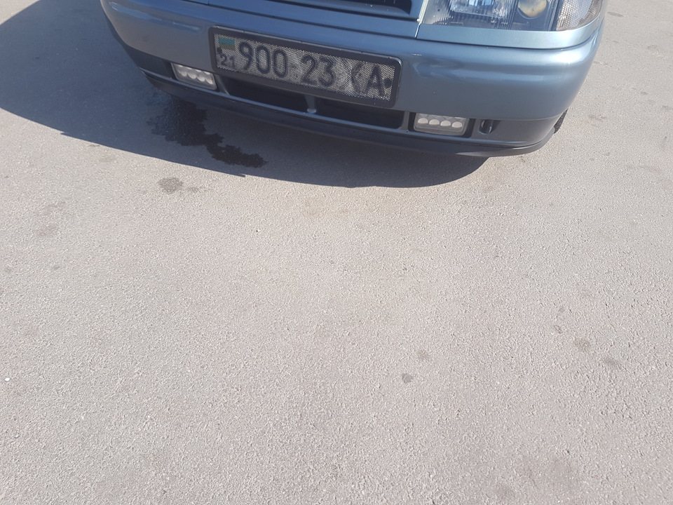 Лип губа 5