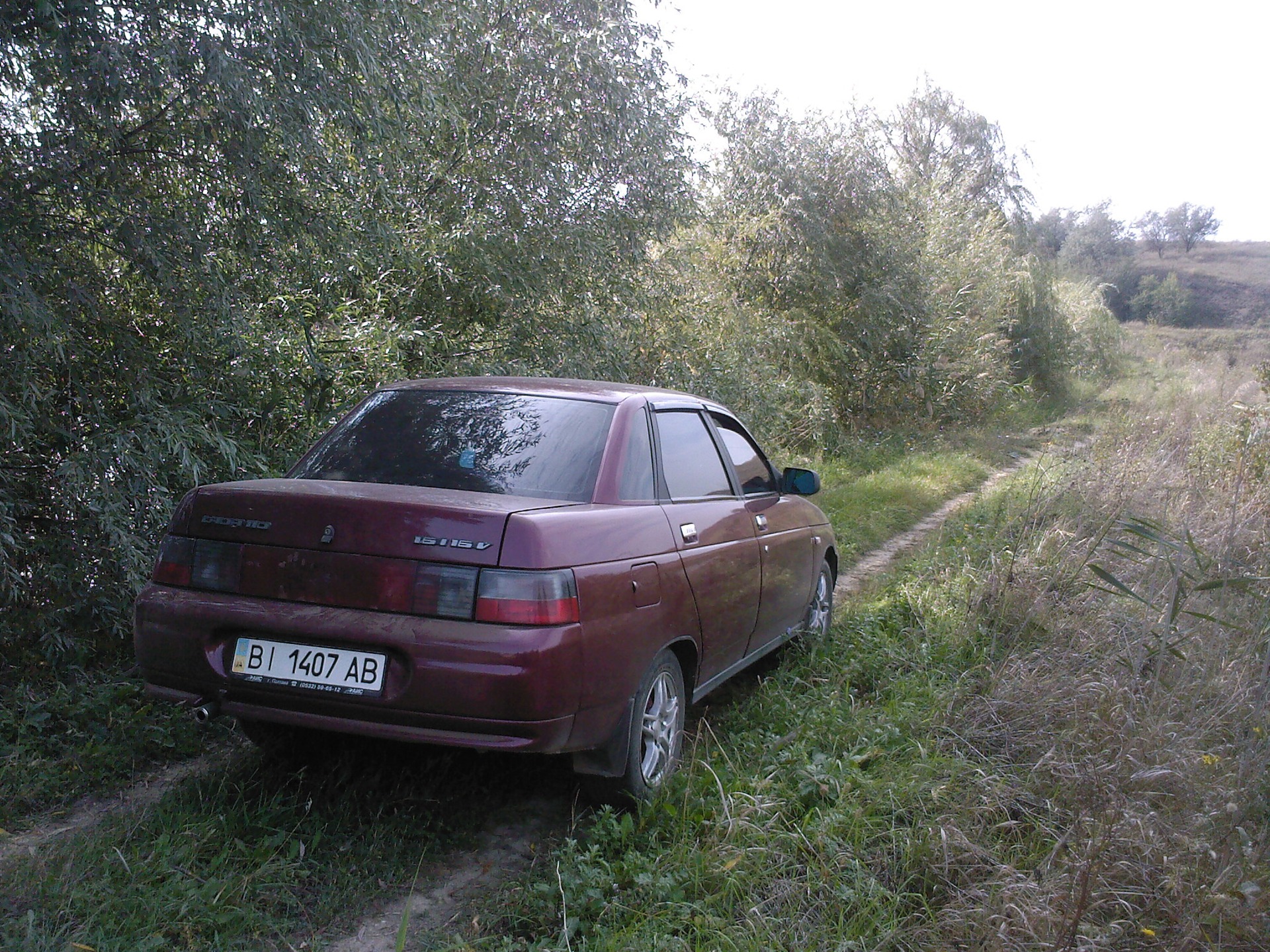 За грибами 3