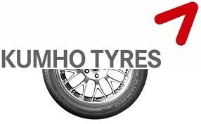 Зимова гума KUMHO KW17 1