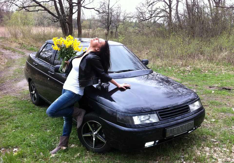 Жовті тюльпани 2012 2