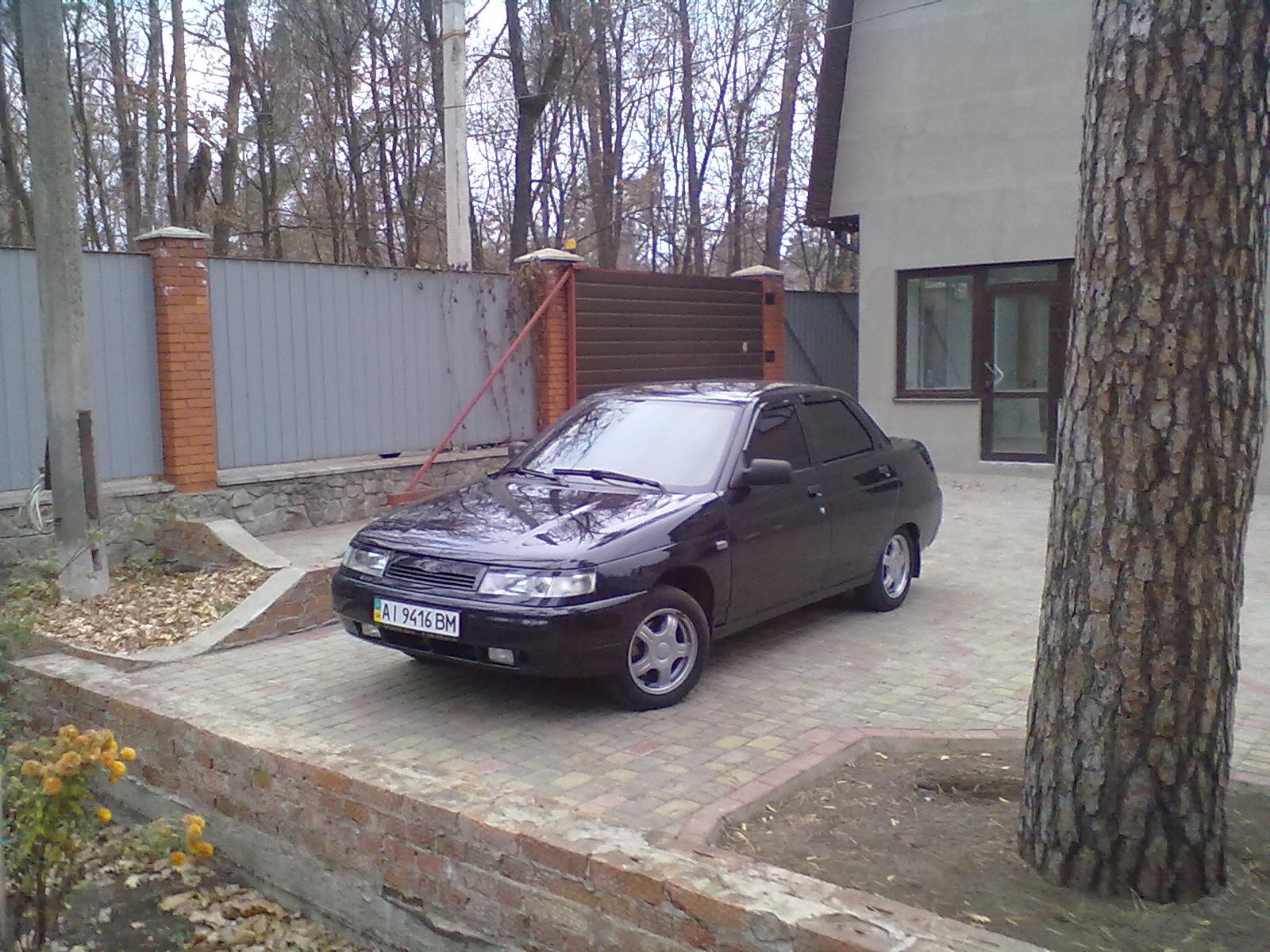 Ура! Закотив лоб) 1