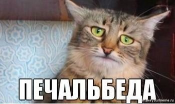 #22 Видно не доля :( 1