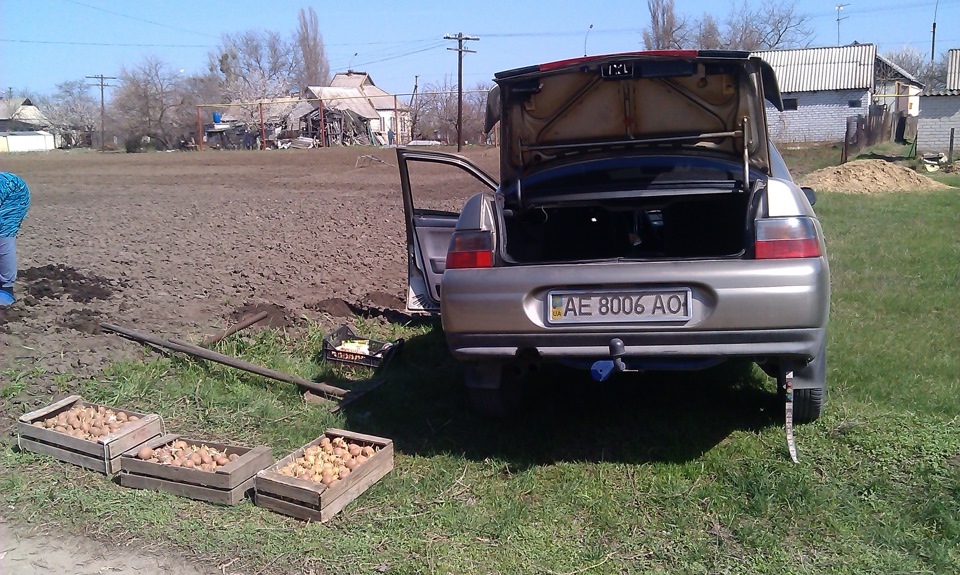 БПАН :DD 1