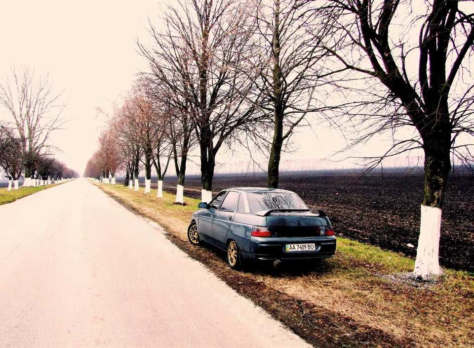 Весна 2010