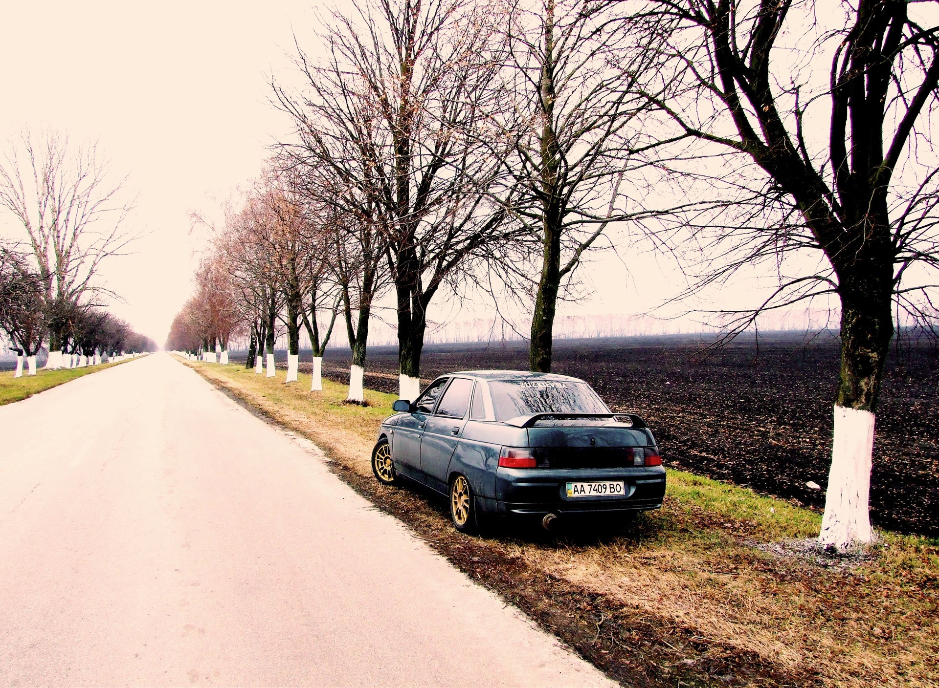Весна 2010 1