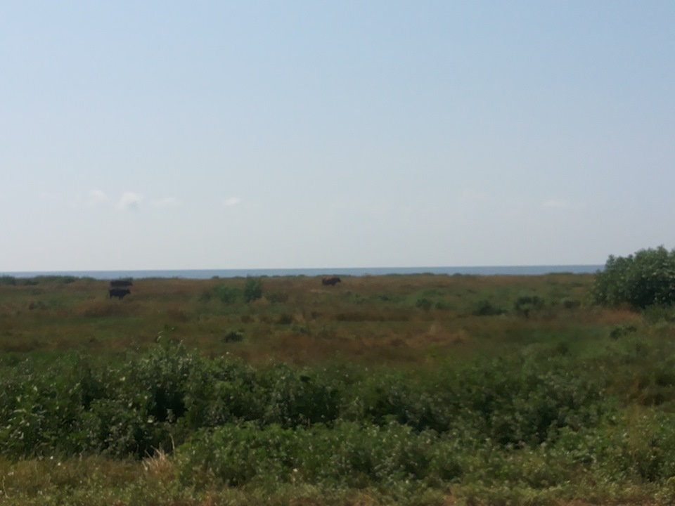 вибір місця відпочинку! чи поїздка на море! 5