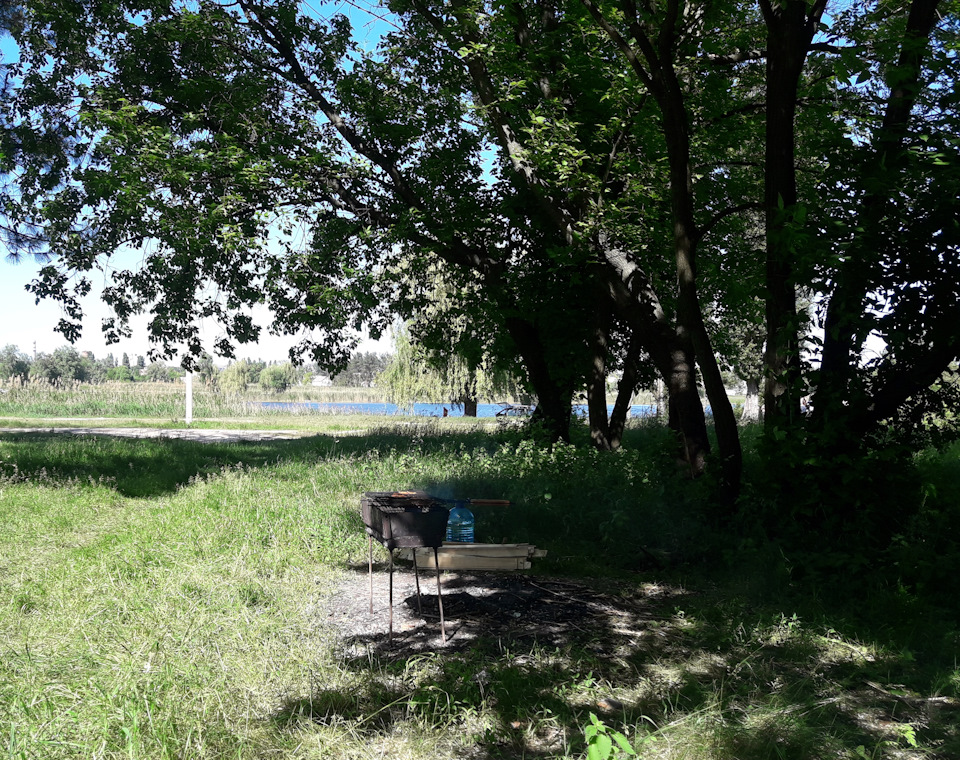 Поїздка на природу 4