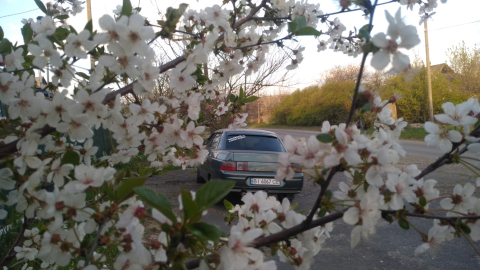 Просто красиві фотки) 5