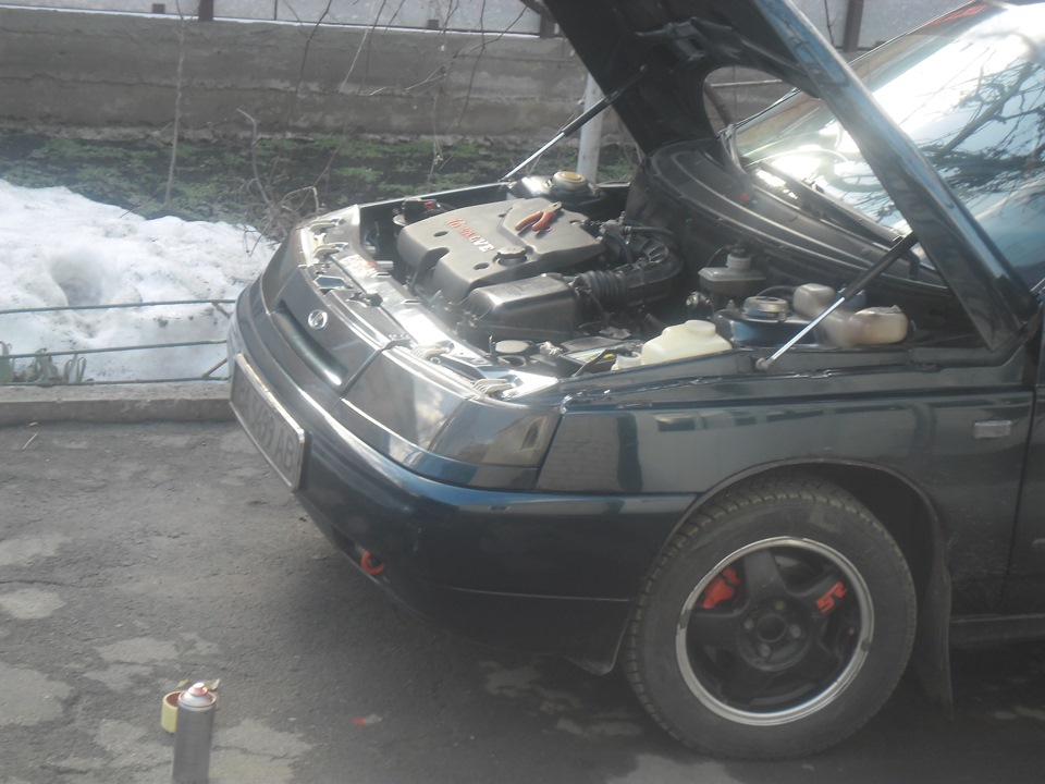 Зняв мухобійку . 5
