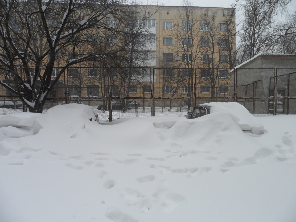 Зима))) 1