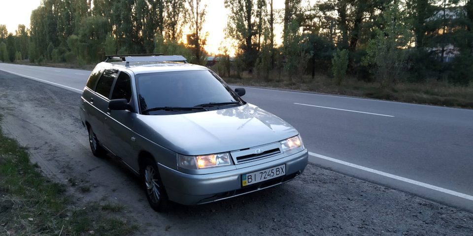 Ліс, 2111 1