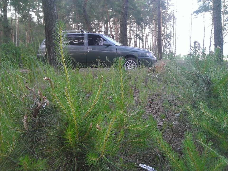 останні фотки) 2
