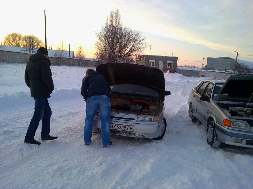Покотушки 5