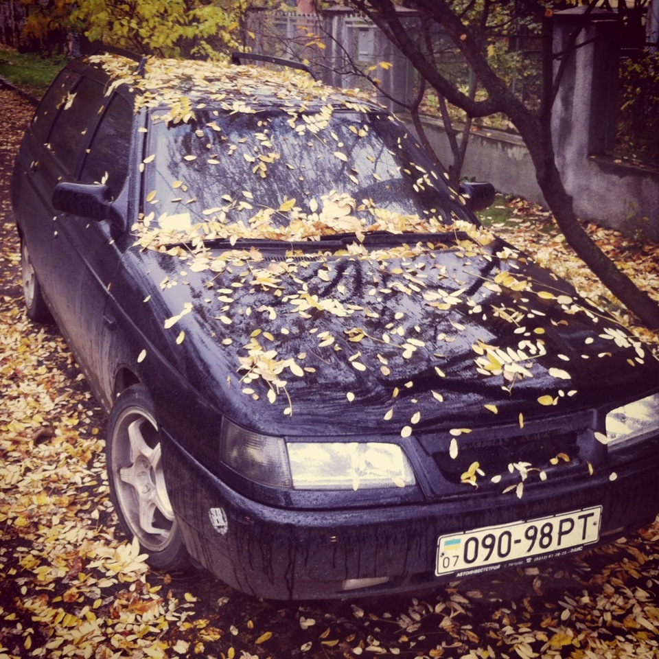 Осінь 1
