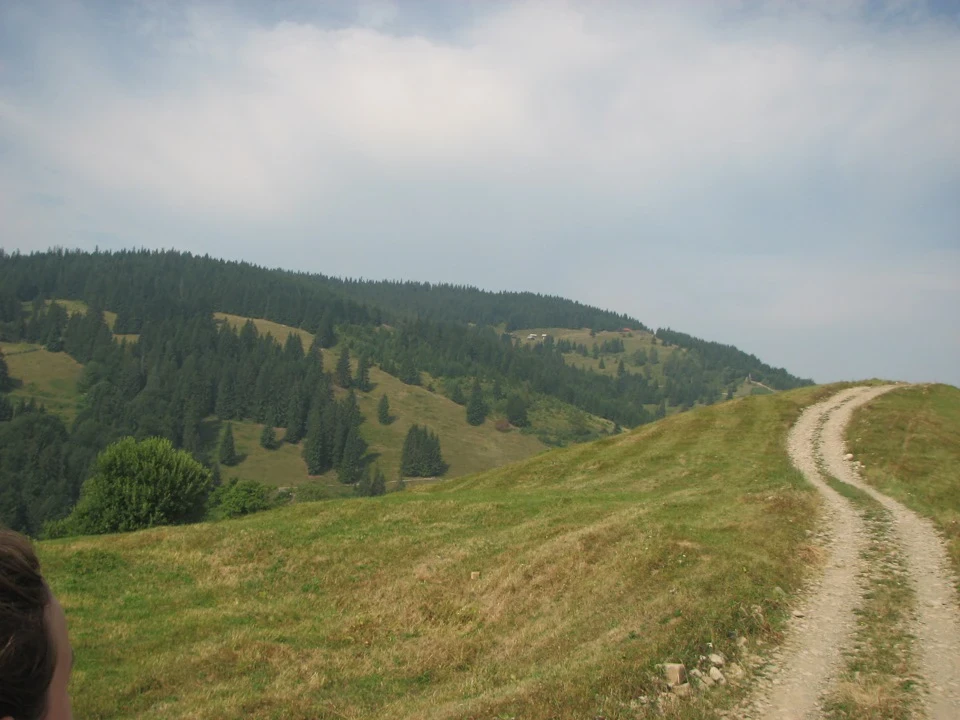 Знову Карпати.