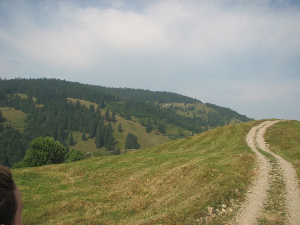 Знову Карпати. 1