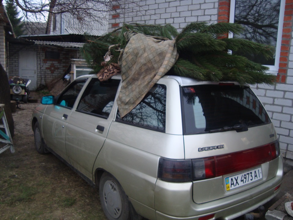 купиви ялинку)) 3