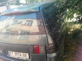 з'їздили на рибалку 2