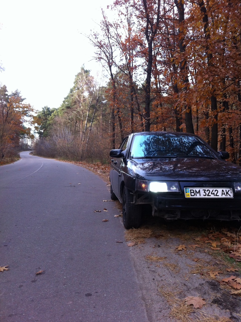 Осінь 5