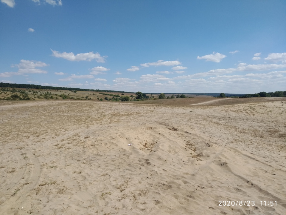Двіношка в пустелі 4