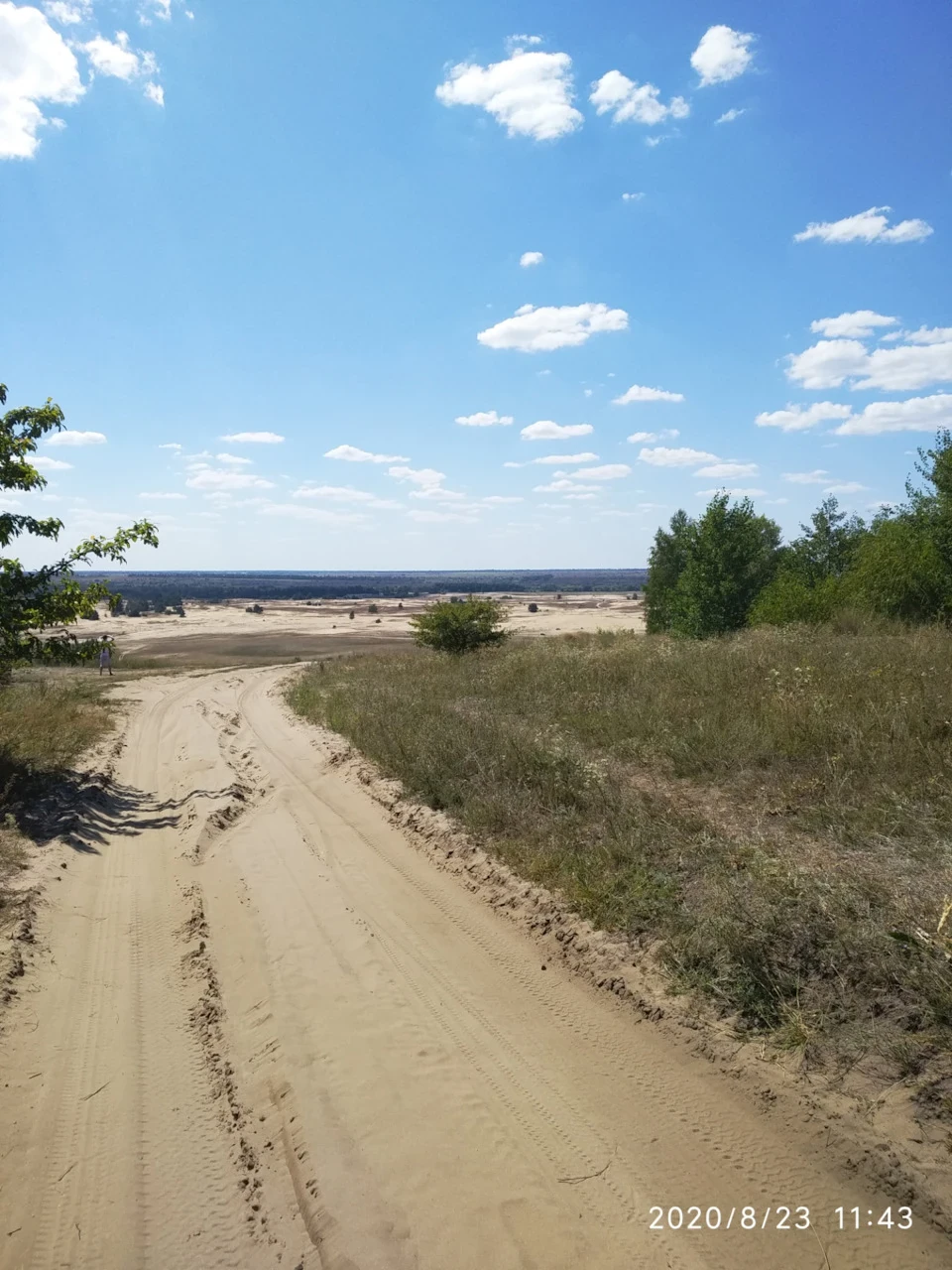 Двіношка в пустелі