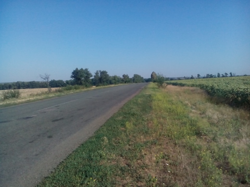 Ремінь ГРМ 3