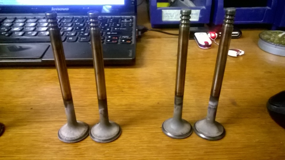 Ремінь Power Grip Gates + 42 вал :) 5
