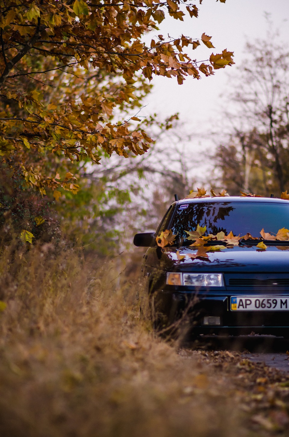 Осень 2015 2
