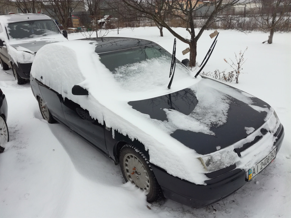 святкові покотушки 1