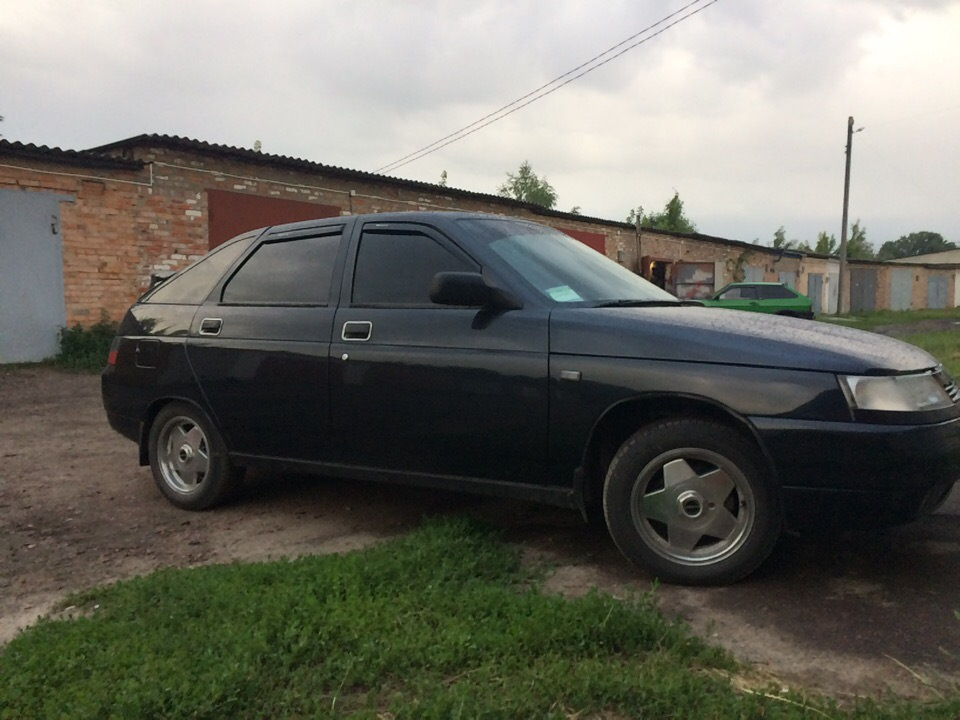 Продав свою черепашку на бобрах)) 1