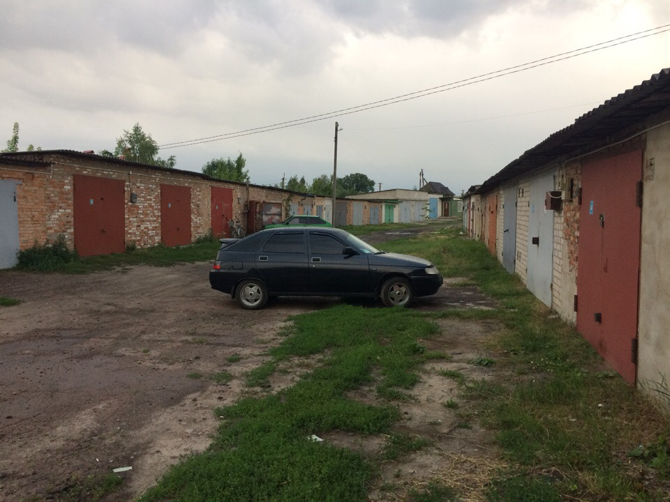 Продав свою черепашку на бобрах)) 2