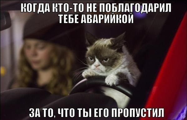 Просто із життя) 1