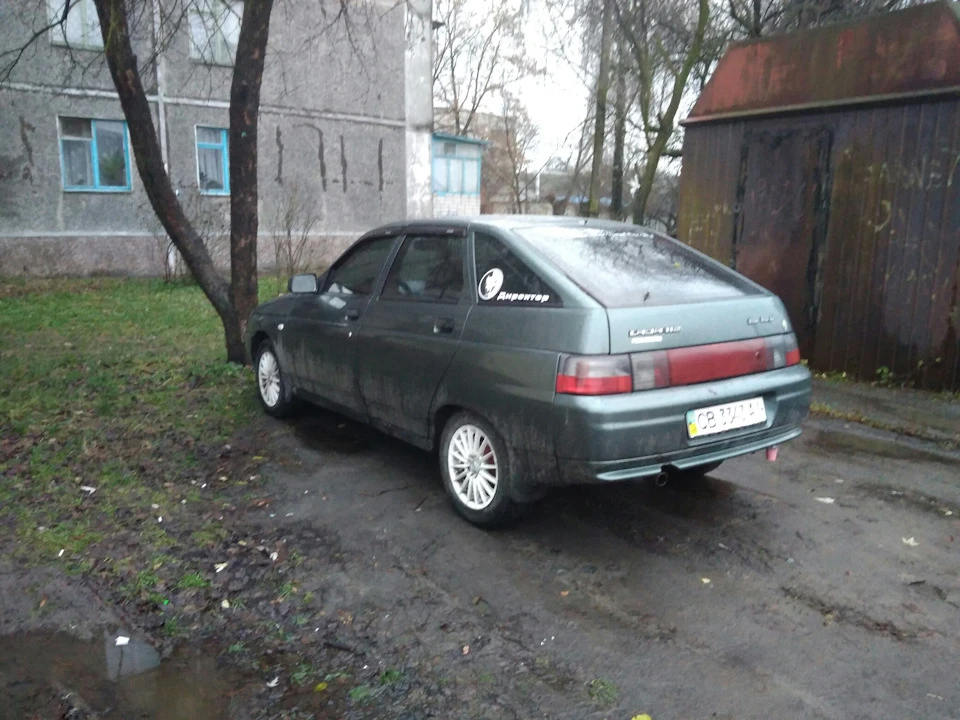 Зимовий вигляд